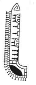 MATATATAU