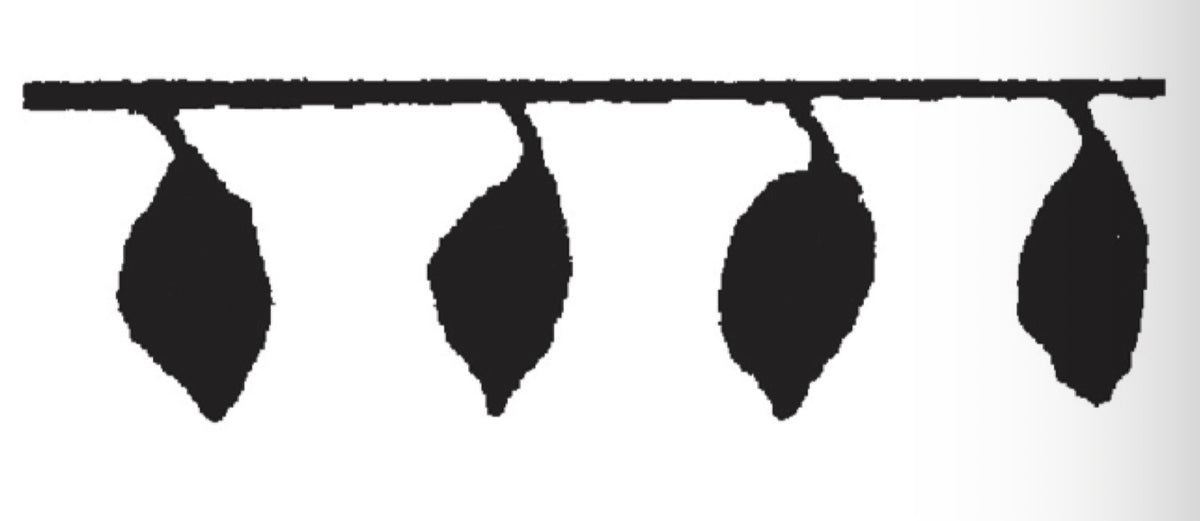 KATIU