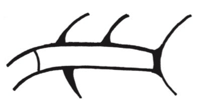 KAKAIA
